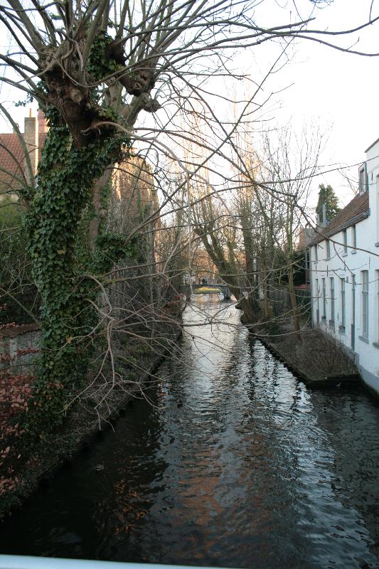 EOS_20080217_0685.JPG