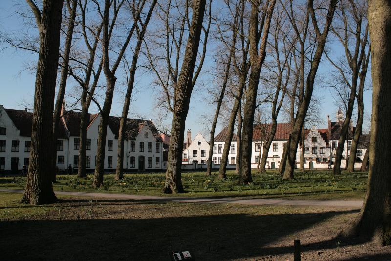 EOS_20080218_0788.JPG