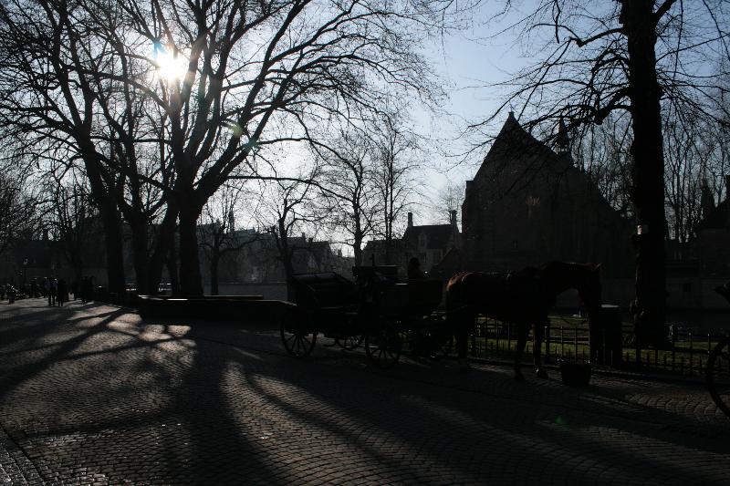 EOS_20080218_0804.JPG