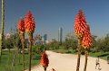 EBL_20170318_121446_017209