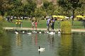 EBL_20170318_124649_017238