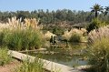 EBL_20170318_125204_017250