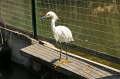 EBL_20170318_130233_017264