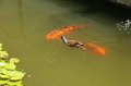 EBL_20170318_131711_017298