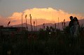EBL_20170319_195036_017556