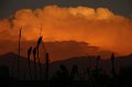 EBL_20170319_195122_017558