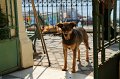 EBL_20160828_181202_011415