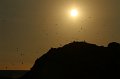 EBL_20160828_234531_013750