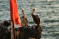 EBL_20160829_000325_011615