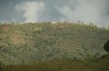 IMG_0599