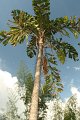 IMG_0655