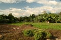 IMG_0673