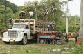 IMG_0810