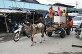 IMG_1349