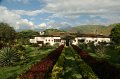 IMG_1357