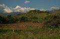 IMG_1397