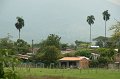 IMG_1550