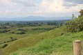 IMG_5998