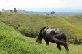 IMG_6001
