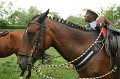 IMG_0183