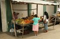 IMG_0450