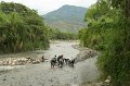 IMG_1031