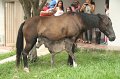 IMG_1488