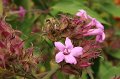 EBL_20151020_112237_007071