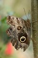EBL_20151020_154119_007320