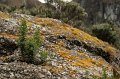 EBL_20131028_023466