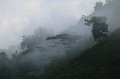 IMG_6165