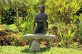 IMG_6203