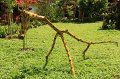 IMG_6212
