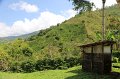 IMG_6228