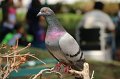 EBL_20151021_130443_007383