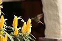 EBL_20101014_009069