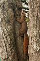 EOS_20081009_1843