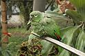 EOS_20081009_1865