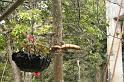 EOS_20081009_1870