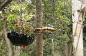 EOS_20081009_1872
