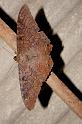 EOS_20081022_2414