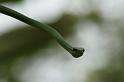 EOS_20081023_2418