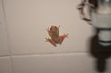 EOS_20081106_3600