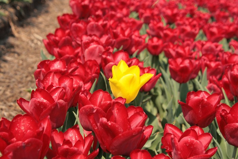 EBL_20110424_010420.JPG
