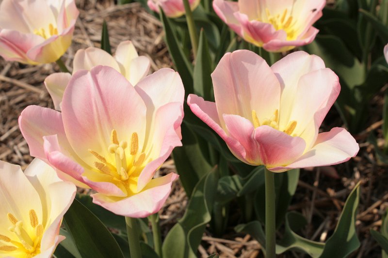EBL_20110424_010429.JPG