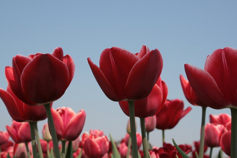 EBL_20110424_010434.JPG