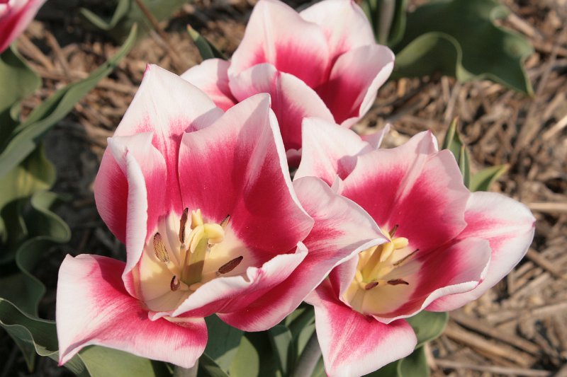 EBL_20110424_010439.JPG