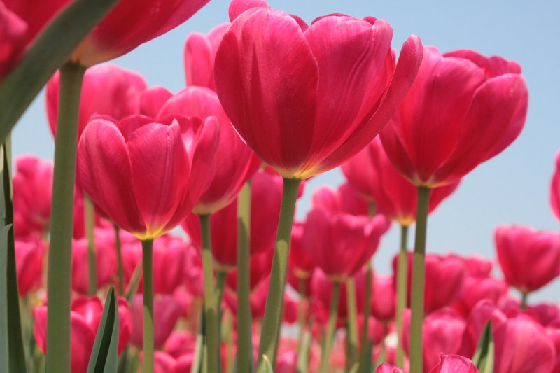 EBL_20110424_010445.JPG