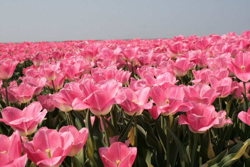 EBL_20110424_010456.JPG
