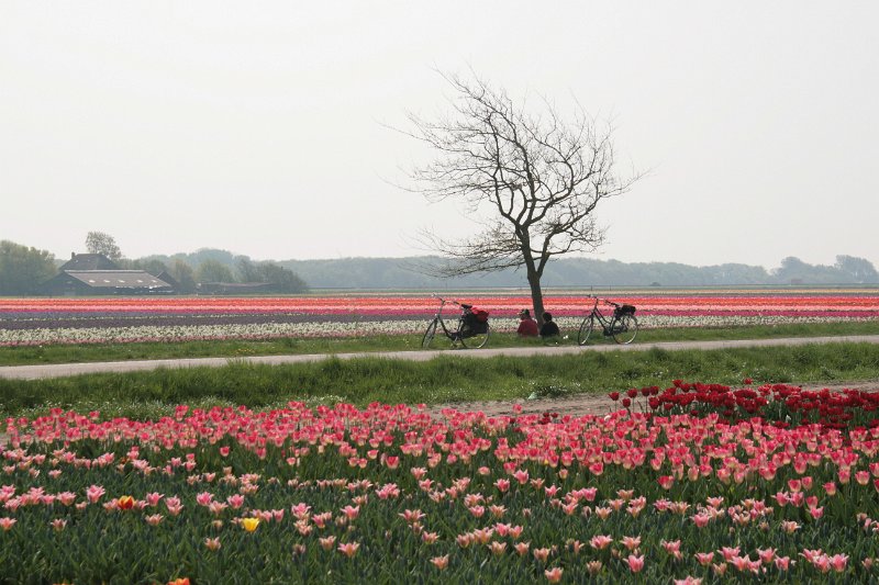 EBL_20110424_010474.JPG